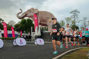 BIB: 
                            <button type="button" onclick="openModal(26528545)" class="btn btn-primary btn-sm float-right btn-popup" data-toggle="modal" data-target=".modal-high-quality">
                        <i class="fas fa-shopping-cart"></i> Add to Cart
                    </button>
                                            <button type="button" onclick="isThisMe(26528545, true)" class="btn btn-success btn-sm float-right btn-popup btn-isme hidden" data-toggle="tooltip" data-placement="bottom" title="นี่คือรูปของคุณใช่ไหม คลิกที่นี่เพื่อเอาเข้าอัลบั้ม">
                        <i class="fas fa-plus"></i> Add to album
                    </button>
                    <button type="button" onclick="isThisMe(26528545, false)" class="btn btn-warning btn-sm float-right btn-popup btn-isnotme hidden">
                        <i class="fas fa-ban"></i> Remove from album
                    </button>